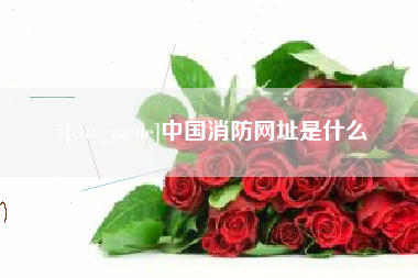磐石中国消防网址是什么