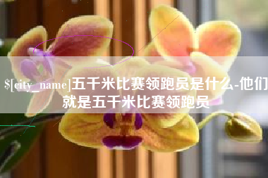 磐石五千米比赛领跑员是什么-他们就是五千米比赛领跑员