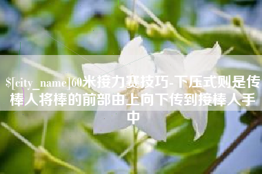 磐石60米接力赛技巧-下压式则是传棒人将棒的前部由上向下传到接棒人手中