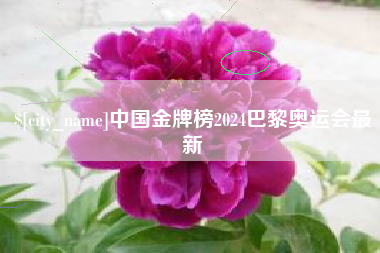 磐石中国金牌榜2024巴黎奥运会最新