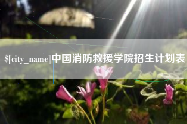 磐石中国消防救援学院招生计划表