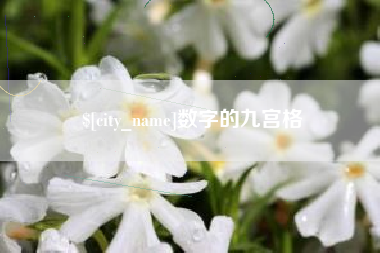 磐石数字的九宫格