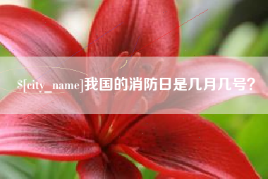 磐石我国的消防日是几月几号？