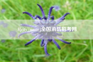 磐石全国消防招考网