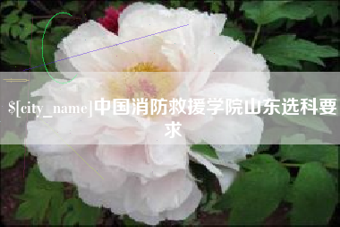 磐石中国消防救援学院山东选科要求