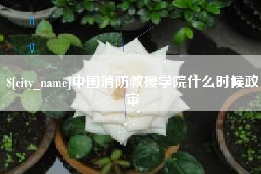 磐石中国消防救援学院什么时候政审