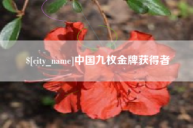 磐石中国九枚金牌获得者