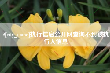 磐石执行信息公开网查询不到被执行人信息