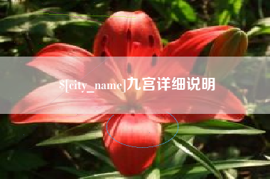 磐石九宫详细说明