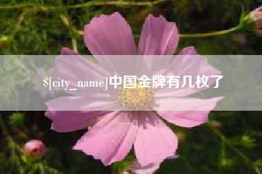 磐石中国金牌有几枚了