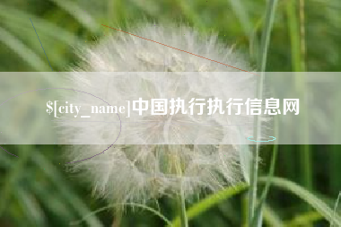 磐石中国执行执行信息网