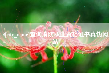 磐石查询消防职业资格证书真伪网站