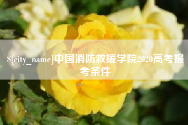 磐石中国消防救援学院2020高考报考条件