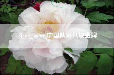 磐石中国队第八块金牌