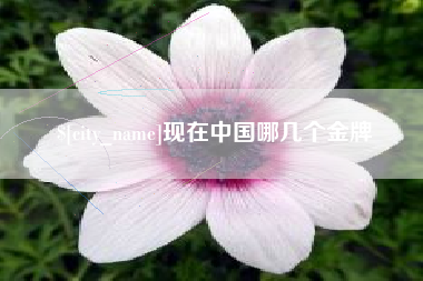 磐石现在中国哪几个金牌
