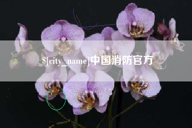 磐石中国消防官方