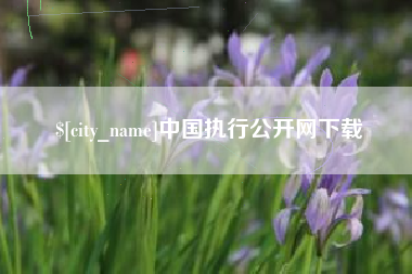 磐石中国执行公开网下载