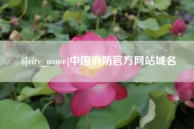磐石中国消防官方网站域名