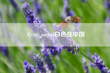 磐石白色在中国