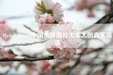 磐石中国金牌图片大全大图真实高清
