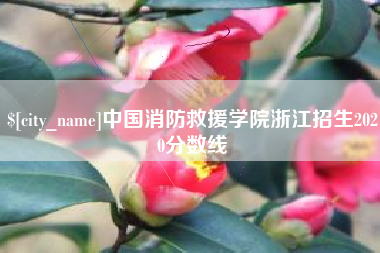 磐石中国消防救援学院浙江招生2020分数线