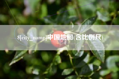 磐石中国地图(含比例尺)