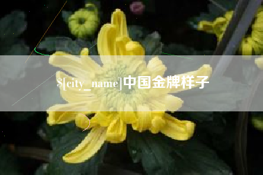 磐石中国金牌样子