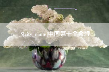 磐石中国第十个金牌