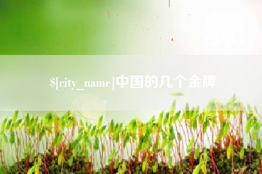 磐石中国的几个金牌
