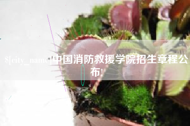 磐石中国消防救援学院招生章程公布!