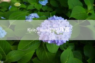 磐石2022九宫