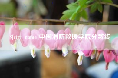 磐石中国消防救援学院分数线