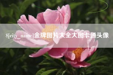 磐石金牌图片大全大图卡通头像
