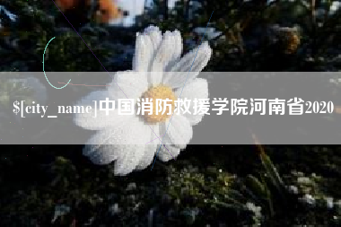 磐石中国消防救援学院河南省2020